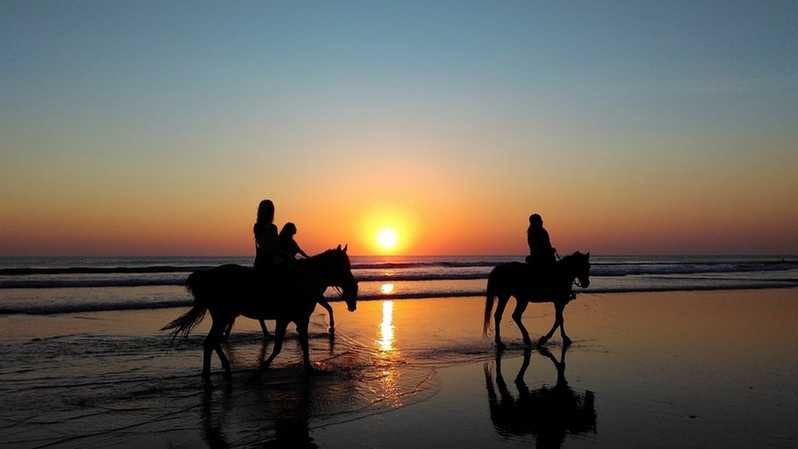 Paseo con caballos en la playa